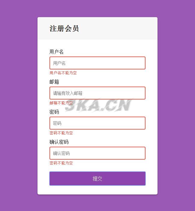 JS会员注册表单验证代码