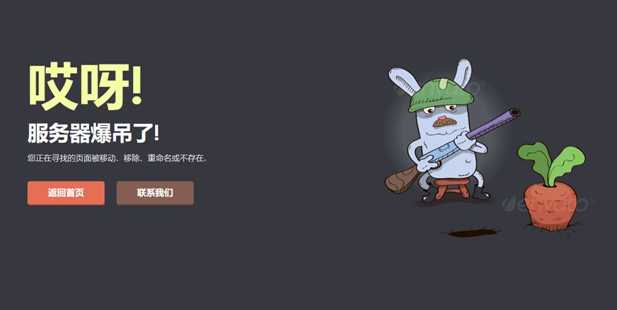 有趣的漫画风格保卫萝卜的兔子老爷爷404错误页面html网页源码
