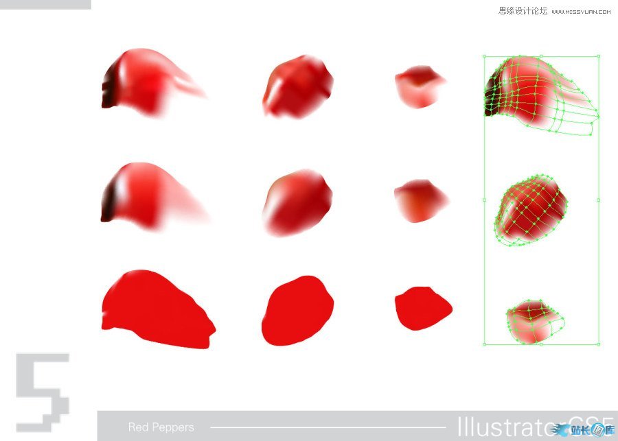 Illustrator CS5绘制逼真的红辣椒教程,PS教程,思缘教程网