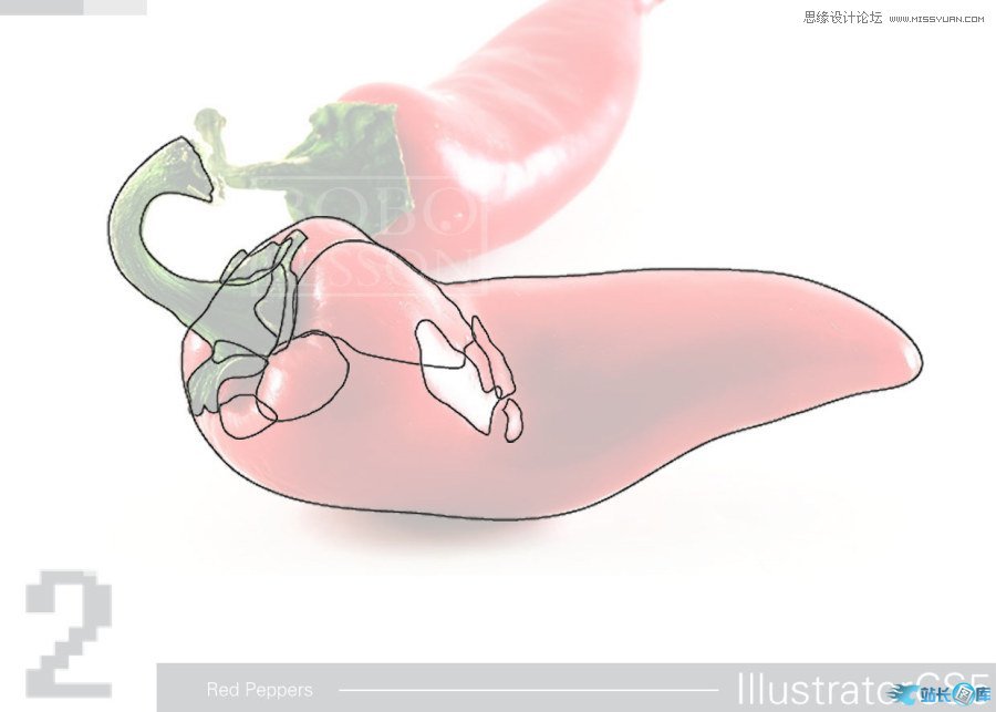 Illustrator CS5绘制逼真的红辣椒教程,PS教程,思缘教程网