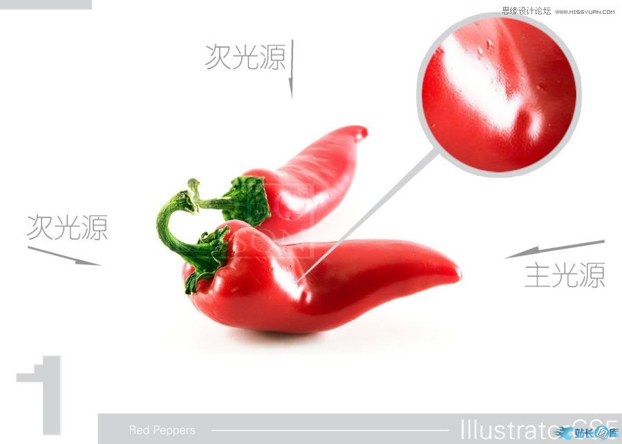 Illustrator CS5绘制逼真的红辣椒教程,PS教程,思缘教程网