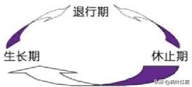 dhc睫毛液有用吗（羞涩睫毛液有用吗）-第4张图片