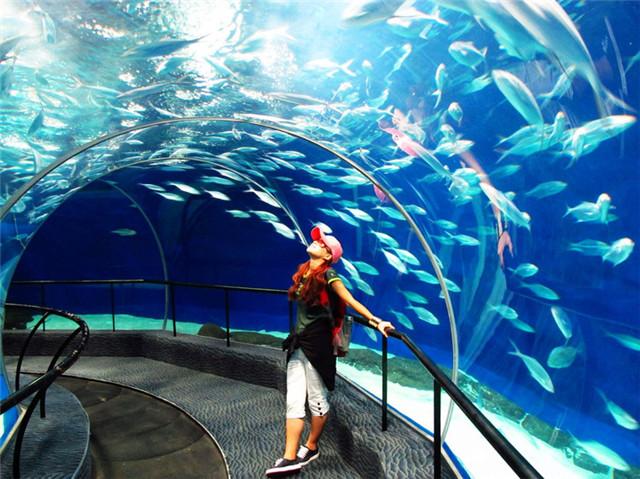 上海水族馆官网购票（上海水族馆官网购票预订）-第5张图片