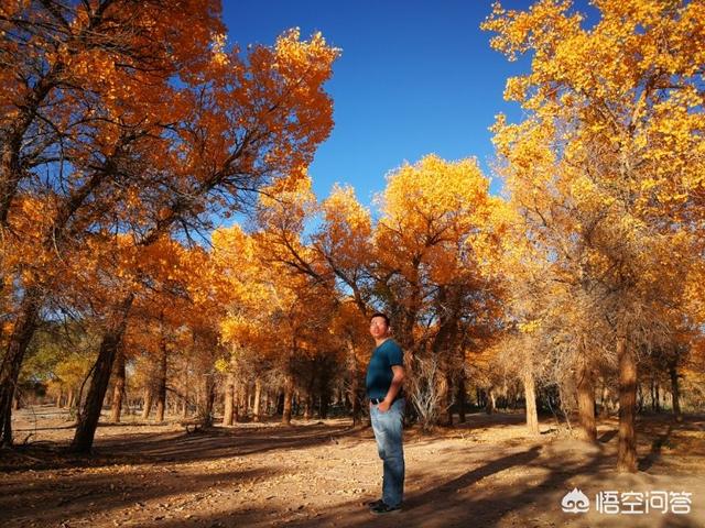 国内旅游哪里好玩（国内旅游景区哪里好玩）-第3张图片