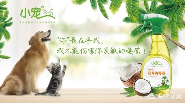 兽用消毒液有哪些种类（家用消毒液有哪些种类）-第3张图片