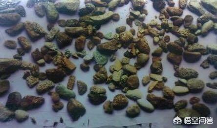 肾结石饮食方面要注意些什么（肾结石患者饮食禁忌需要注意什么）-第1张图片