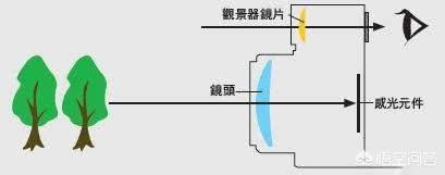 佳能和索尼哪个好（佳能和索尼相机哪个好）-第2张图片