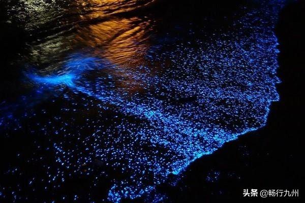 热浪岛旅游价格（热浪岛旅游报价）-第4张图片