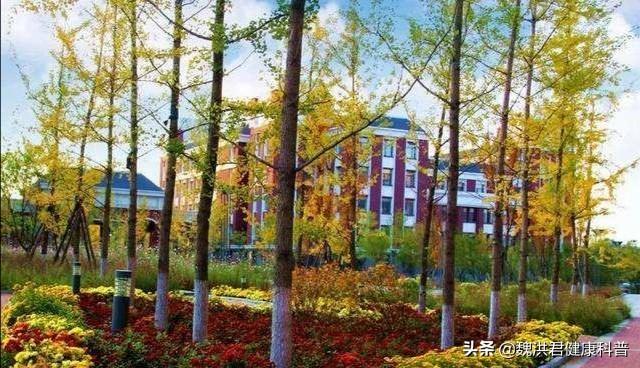 药科大学排名全国最新（南京药科大学排名全国）-第3张图片