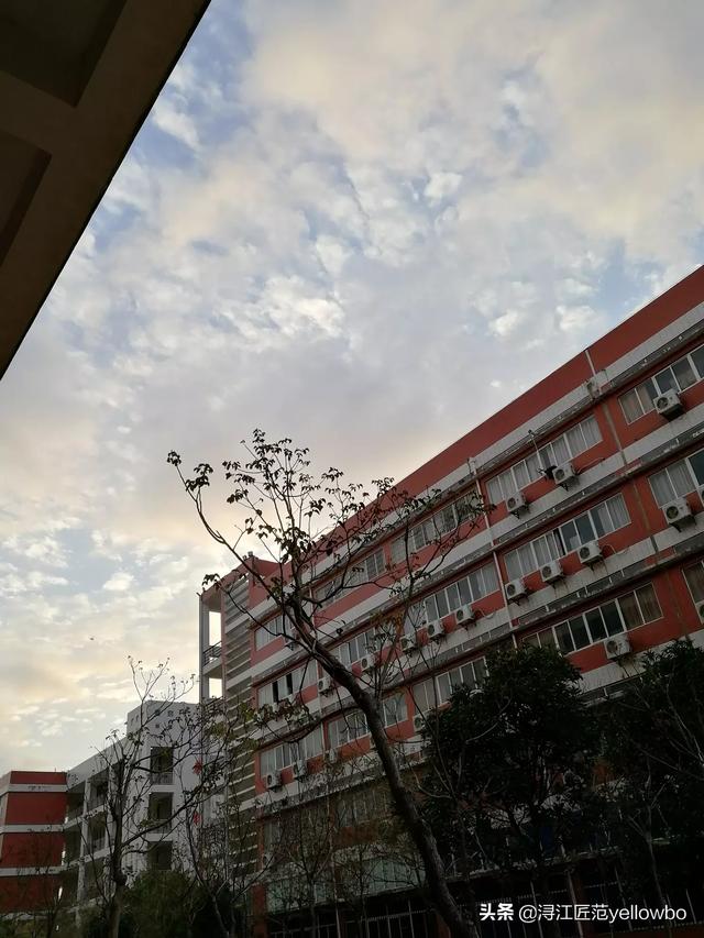 厦门东海职业学院（厦门东海职业技术学校怎么样）-第2张图片