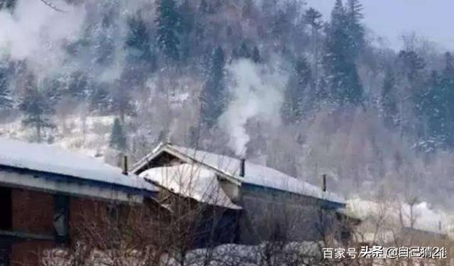 家用取暖器哪种好（家用取暖设备哪种效果好）-第3张图片