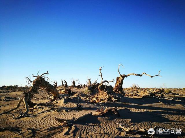 国内旅游哪里好玩（国内旅游景区哪里好玩）-第2张图片
