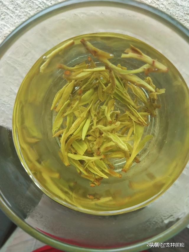 绿茶有哪些牌子（绿茶有哪些品牌）-第4张图片