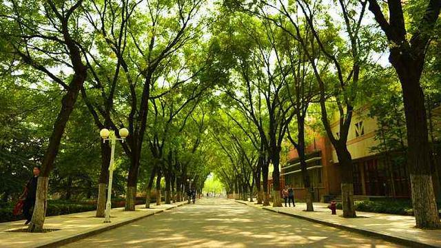 山东农业大学排名2022最新排名（山东农业大学全国排名2022最新排名）-第3张图片