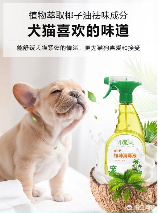兽用消毒液有哪些种类（家用消毒液有哪些种类）-第4张图片