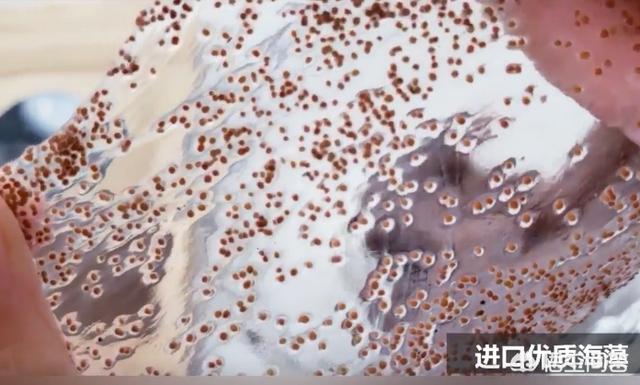 海藻面膜排行榜（海藻面膜十大排行榜）-第1张图片