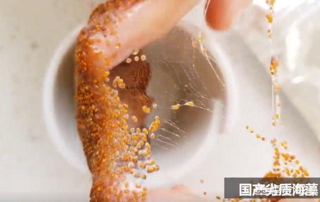 海藻面膜排行榜（海藻面膜十大排行榜）-第2张图片