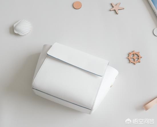 包包品牌排行榜前十名女士图片（包包品牌排行榜前十名图标女士）-第12张图片