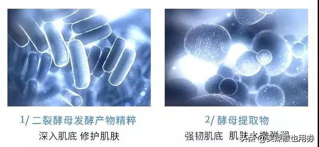 欧莱雅光感肌底液（欧莱雅肌底液怎么用才正确方法）-第3张图片