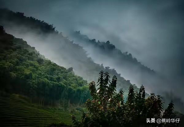安吉旅游景点推荐（安吉有哪些旅游景点最好玩）-第4张图片