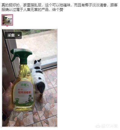 兽用消毒液有哪些种类（家用消毒液有哪些种类）-第9张图片