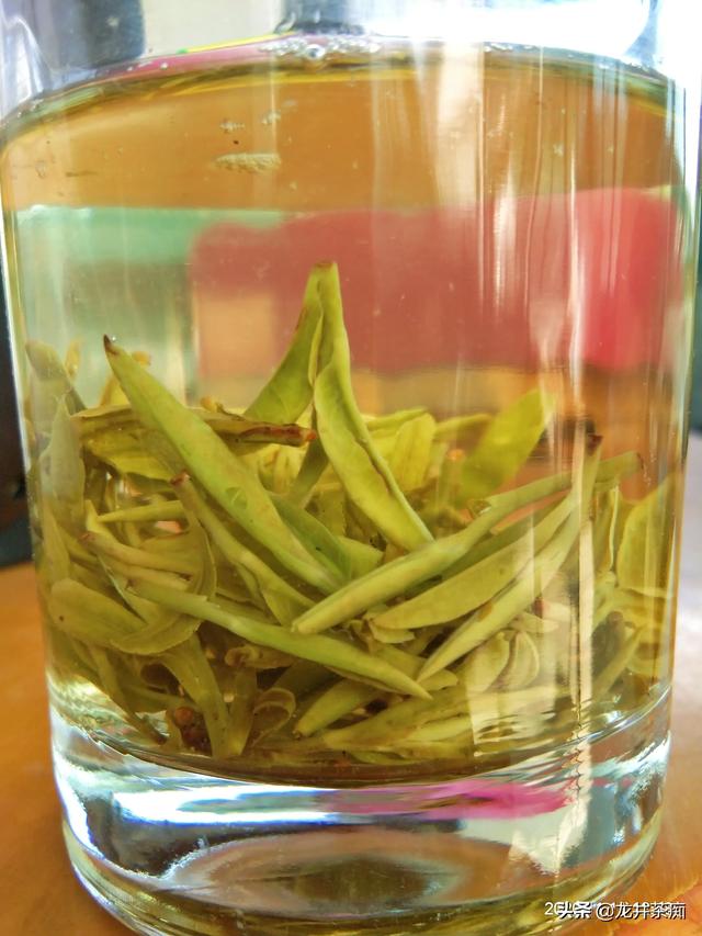 绿茶有哪些牌子（绿茶有哪些品牌）-第1张图片