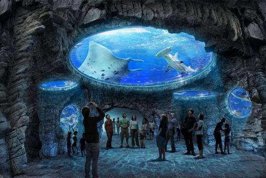 上海水族馆官网购票（上海水族馆官网购票预订）-第10张图片