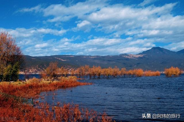 丽江旅游景点攻略（云南丽江旅游攻略必去景点）-第12张图片