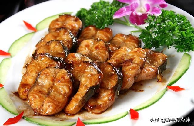 八目鳗鱼图片特性（八目鳗鱼嘴巴图片）-第1张图片