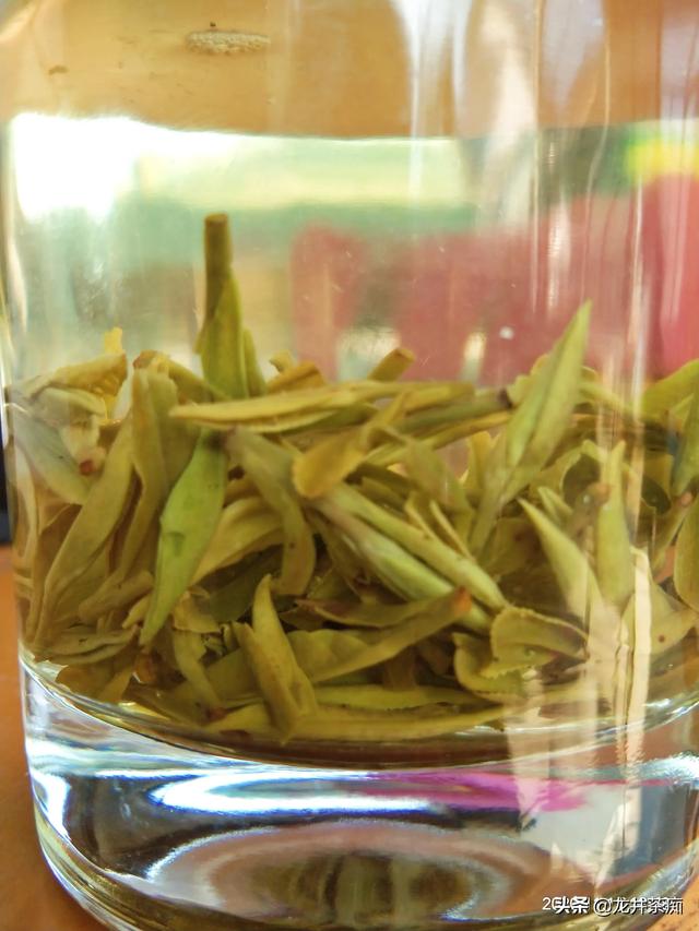 绿茶有哪些牌子（绿茶有哪些品牌）-第2张图片
