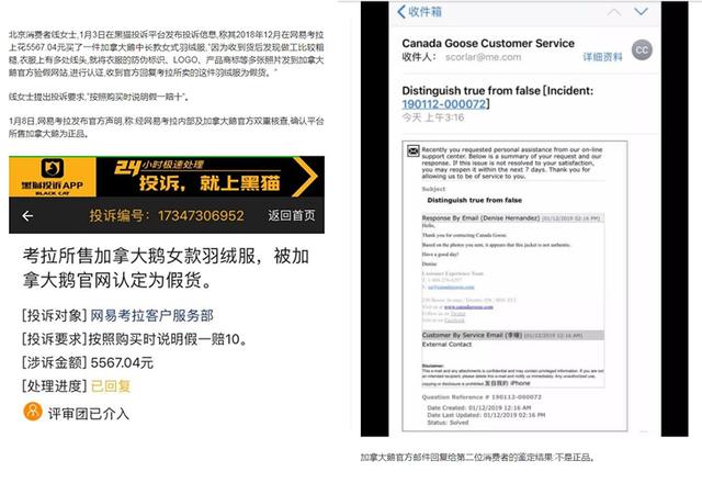 雅诗兰黛正品查询防伪官网（雅诗兰黛查询真假官网）-第16张图片