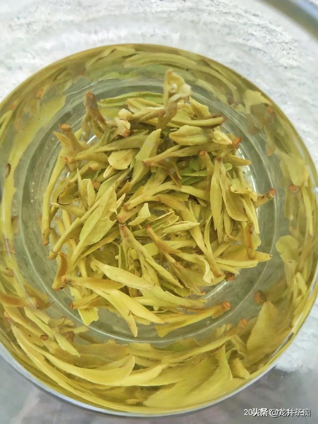 绿茶有哪些牌子（绿茶有哪些品牌）-第3张图片