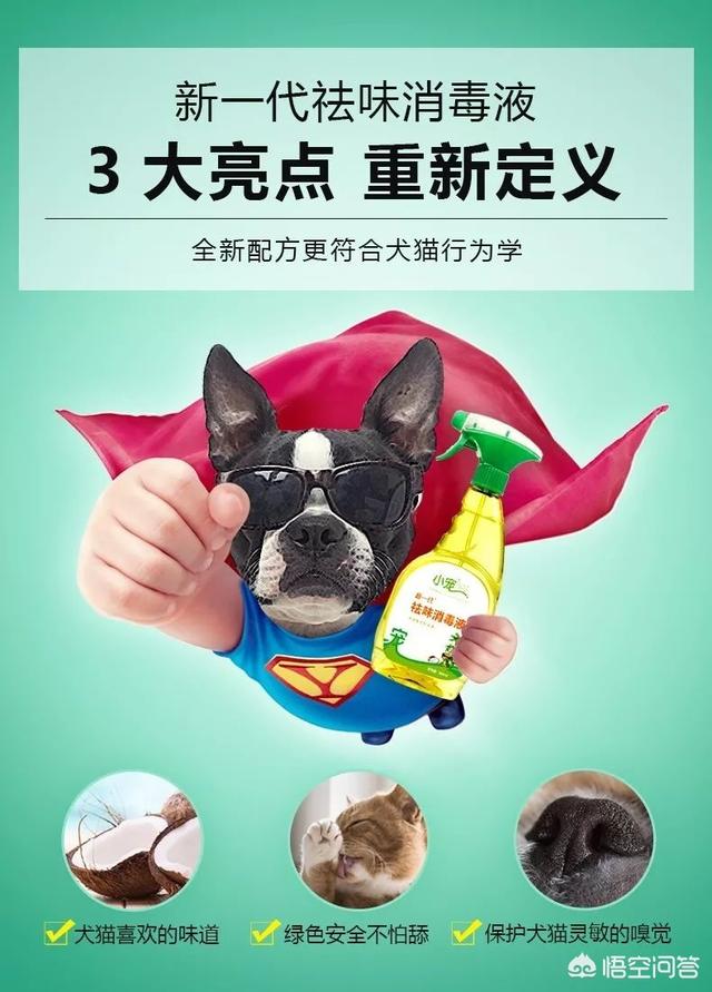 兽用消毒液有哪些种类（家用消毒液有哪些种类）-第5张图片